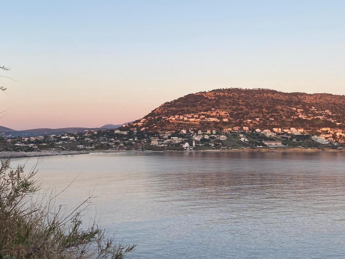 Seascape Luxury Villas Agia Marina  エクステリア 写真